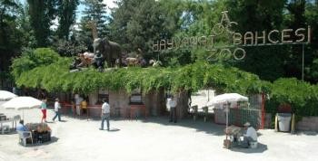 Ankara Hayvanat Bahçesi Geçici Olarak Ziyarete Kapatılacak
