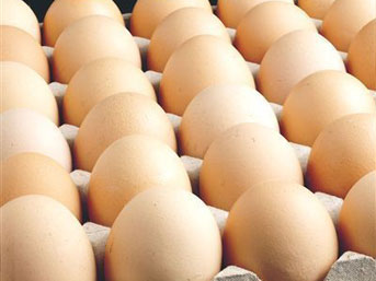 Bakkallarda Yumurta Satmak Yasaklandı haberi