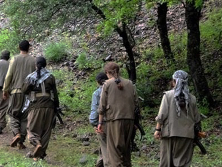 PKK Özür Diledi